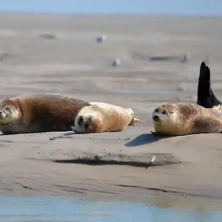 Gite Escale Oceania En Baie De Somme A Ault, 50M De La Mer Buitenkant foto